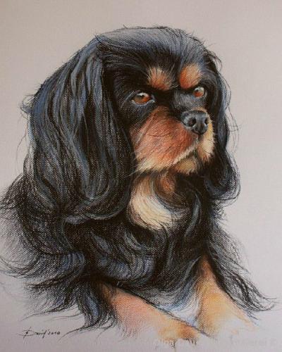 Hundenporträt Pastell auf Pastell